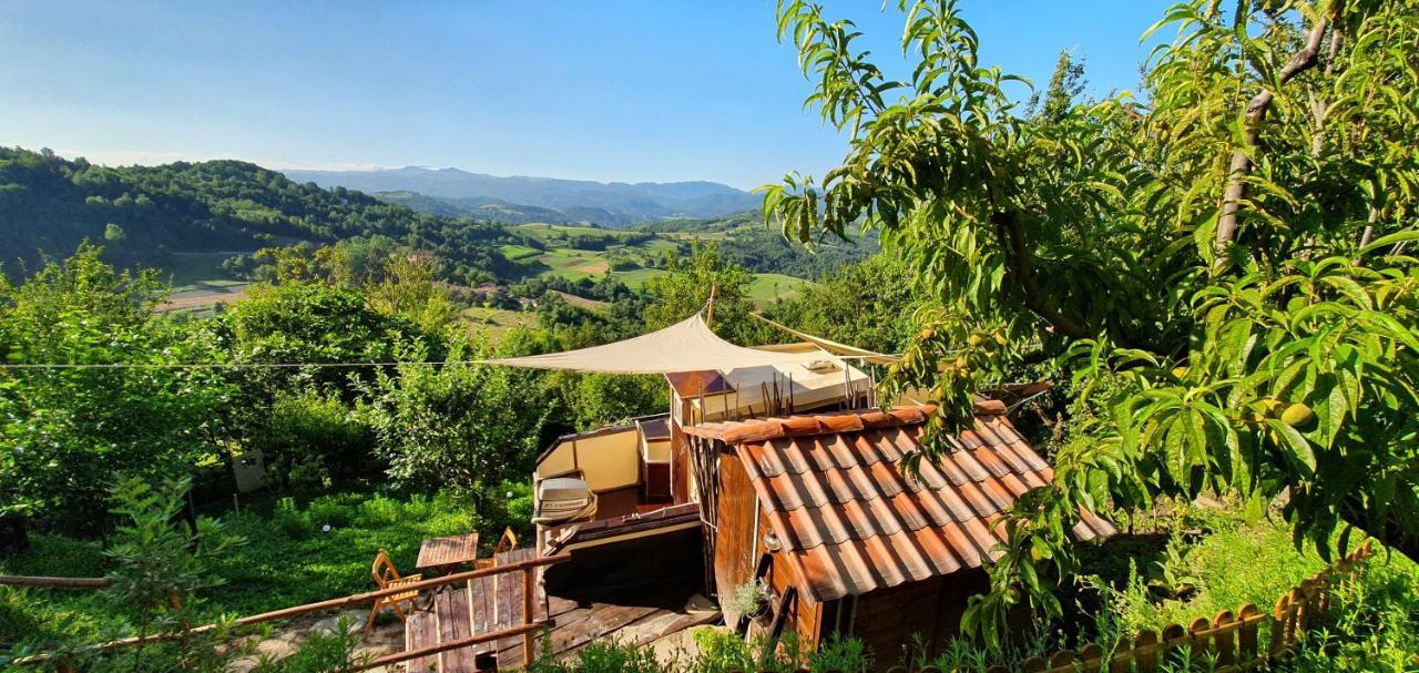 Torresina Nave Nel Bosco Bed & Breakfast エクステリア 写真
